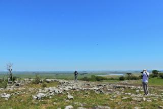 Tinambú - Paso Centurión Tours - 1