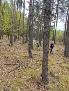 Doma na Lipníku-private country house, homestay - 2