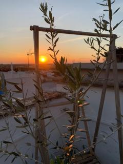 Casa Felicita Shabby Lux - 2