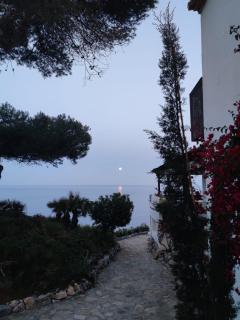 Dreamy sunrise at Marina Playa - 8