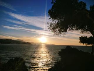 Dreamy sunrise at Marina Playa - 2