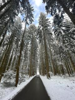 Schwarzwald - Modern mit Terrasse - 6