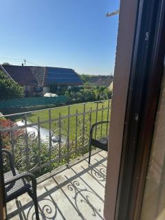 Bioweingut Glaser - 3