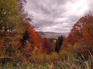 Na Stoku Żukowa - 7