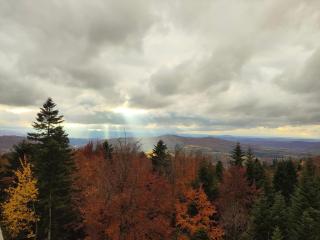 Na Stoku Żukowa - 5