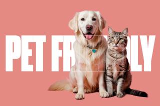 Hidden Garden: A Serene Miami Escape - 4