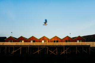 Kjerringøy Rorbusenter - 7