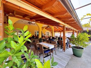 Apartments Neptun - 5