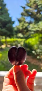 A-Frame Ochsenkopf - 5