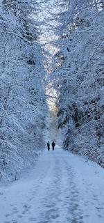 A-Frame Ochsenkopf - 7