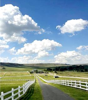 Elegant 4 ppl Villa nested in a picturesque town - 8