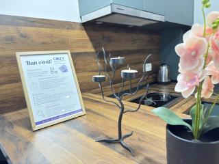 One bedroom Apartments at Adora Park Arad - 6