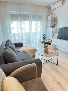 One bedroom Apartments at Adora Park Arad - 4