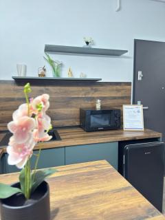 One bedroom Apartments at Adora Park Arad - 2