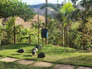 Chácara Bela Vista - 9