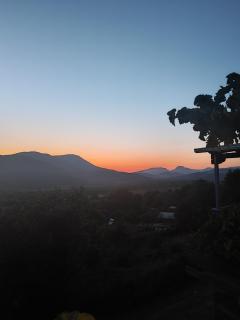 Tommy's Guest House - 9