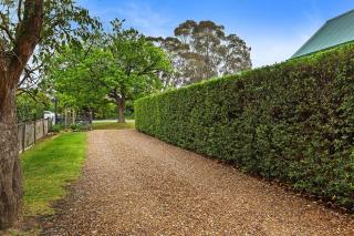 Two Truffles Cottage Accommodation - 2