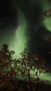 The Perfect Stop - Pinewood Loft - 9