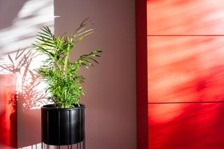 Holiday house Solis - 8