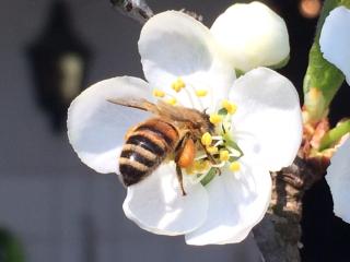 Stilvolle, stadtnahe Ferienwohnung mit Alpensicht - 9