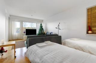 Arctic Sky Apartment - 8