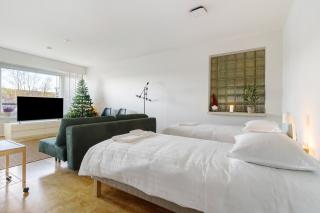 Arctic Sky Apartment - 9