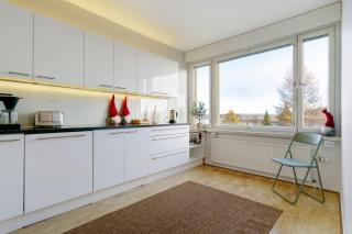 Arctic Sky Apartment - 2