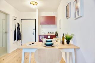 2 separate Apartments direkt in der City mit privaten Stellplätzen max 1,65m Höhe und 1,8m Breite für bis zu 8 Personen - 8