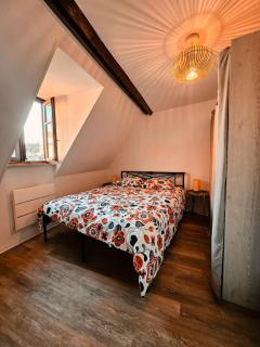 Joli T2 centre historique de Mulhouse - 4