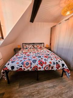 Joli T2 centre historique de Mulhouse - 3