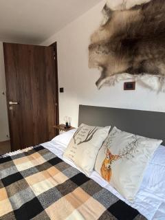 Maen apartment, Valtournenche - 4