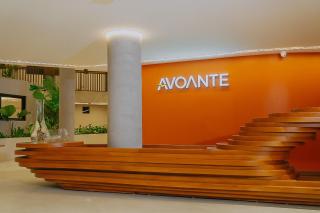 Avoante - Pé na areia. - 7