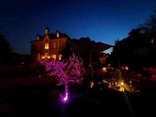 Villa Vallière bed&breakfast - 7