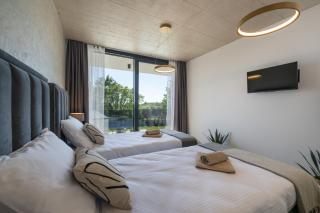 Villa Ume by IstriaLux with jacuzzi and sauna - 1