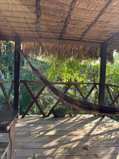 Campo de Heliantos - 2