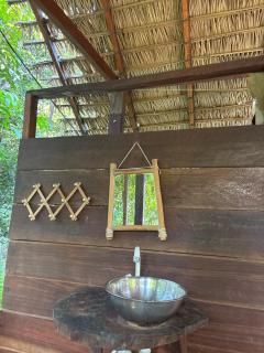 Campo de Heliantos - 4