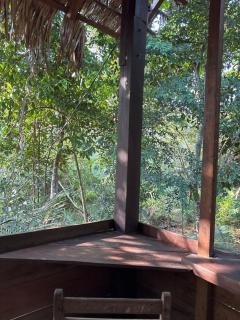 Campo de Heliantos - 5