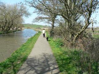 Small cottage in Stratton, Bude - 1