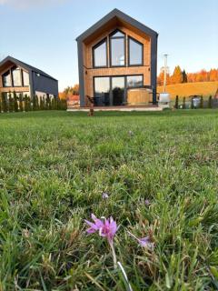 Bieszczadzki Relaks - domki z prywatną strefą SPA - 9