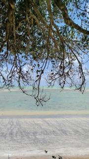 Apartamento Inteligente - Japaratinga - 5