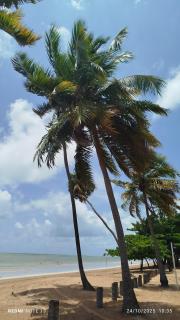 Apartamento Inteligente - Japaratinga - 7