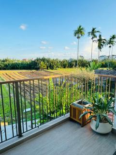 LÚA de ROSY HOI AN - 5