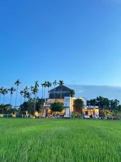 LÚA de ROSY HOI AN - 0