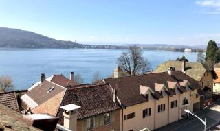 Duplex face au lac d'Annecy - 0