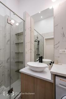 City Heart Apartment Regina Elisabeta - 2