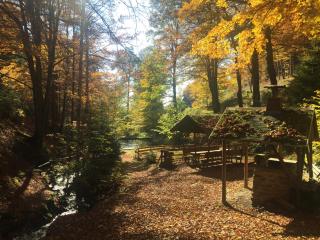 Herz Ferienwohnung - 4