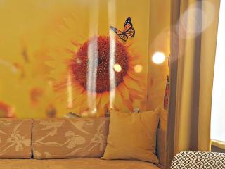 Vier Jahreszeiten Suite - 8