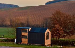 Mighty Fins Retreat X by Tiny Away - 0