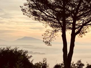 Villa Natura Sana - 8