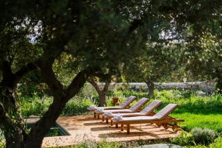 Villa Ad Maiora, charming stone villa with private pool - 9